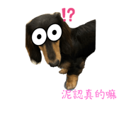 664617098