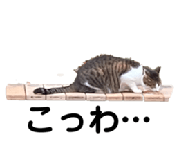 664650132