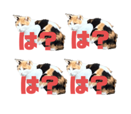 664650159