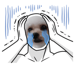 664694333