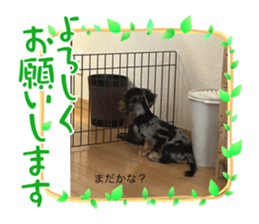 664709120