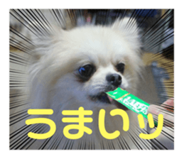 664767651