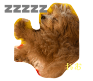 664771025