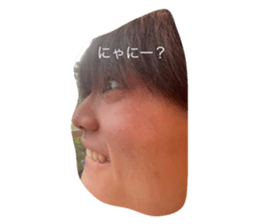 664791531