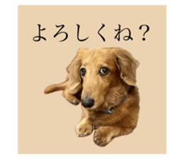 664802670