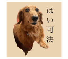 664802679