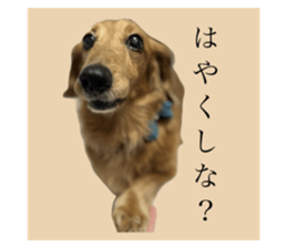 664802689