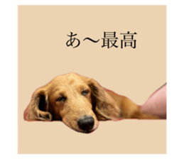 664802690