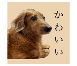 664802691