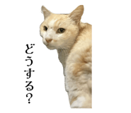 664809557