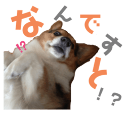 664828408