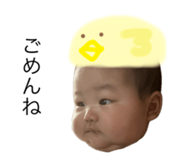 664844455
