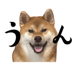 664858320