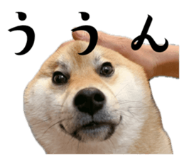 664858321