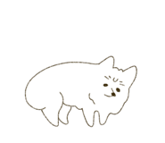 664861458