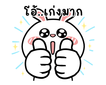 ลายที่ 13