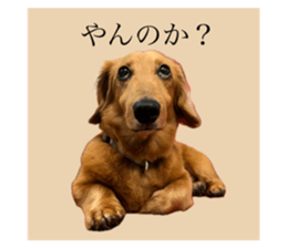 664942508