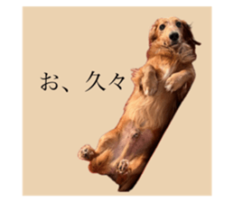 664942524