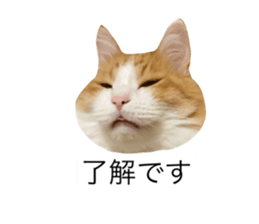 664943563