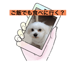 664983501