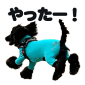665061883