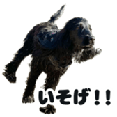 665061888