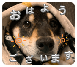 665074461