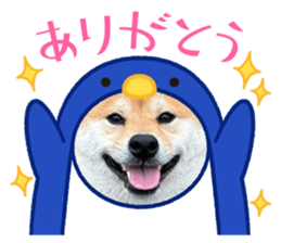 665099516
