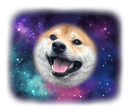 665099541