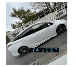 665117954