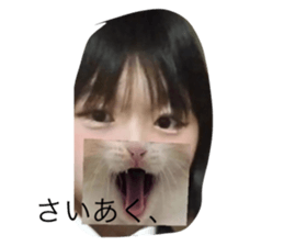 665161205