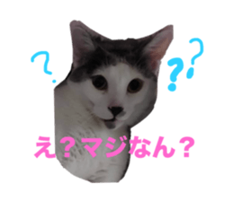 665175353