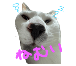 665175355