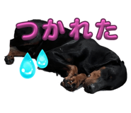 665186483