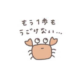 665213123