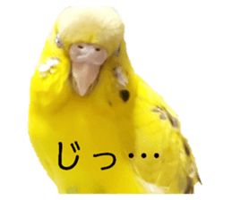 665236441