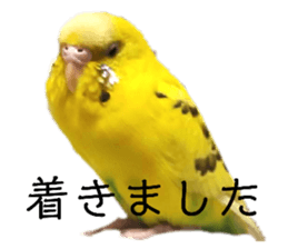 665236442