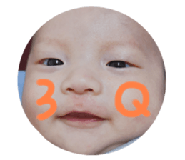 665253736