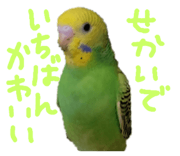 665265042