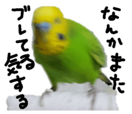 665265044