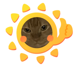 665265215