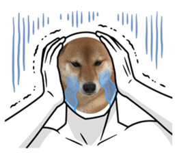 665311202