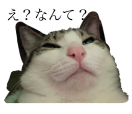 665315818