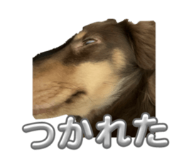 665332382