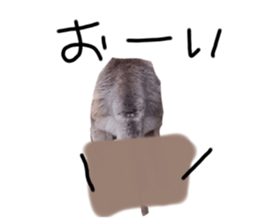 665333437