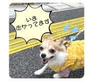 665334560
