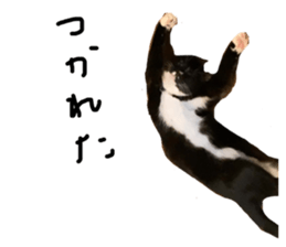 665335811