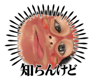 665363185