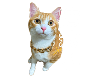 665382535