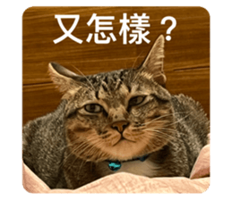 665406719